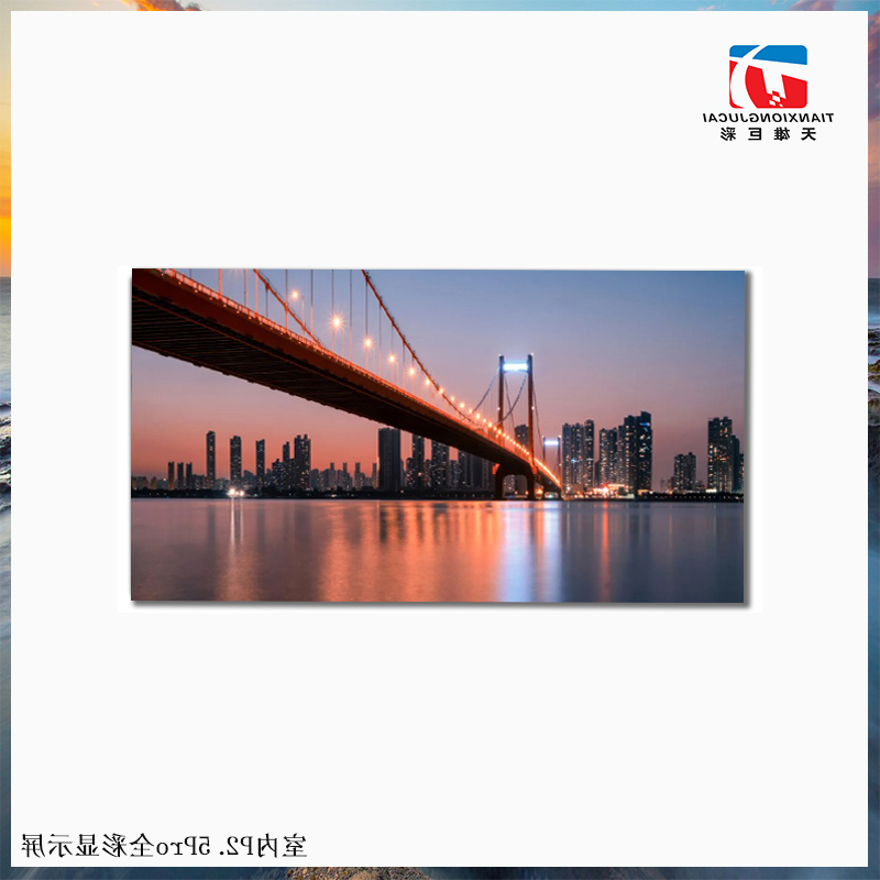P2.5 Pro